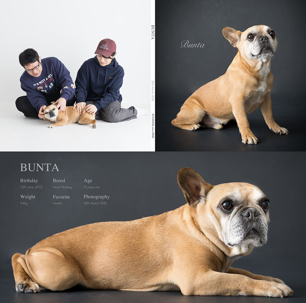 BUNTA